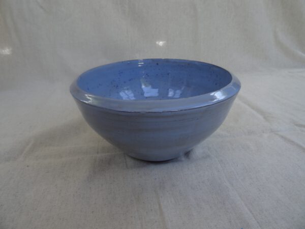 Schaal lichtblauw met spetter