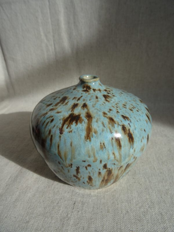 Vaasje ‘Ceynote’