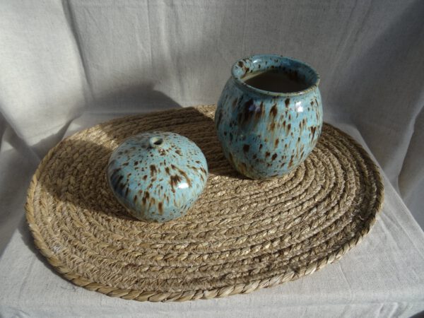 Vaasje ‘Ceynote’