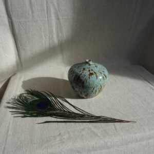 Vaasje ‘Ceynote’