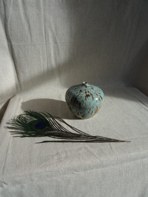 Vaasje ‘Ceynote’